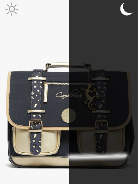 Boekentas 2 Compartimenten Cameleon Blauw vintage fantasy PBVGCA35 ander zicht 8